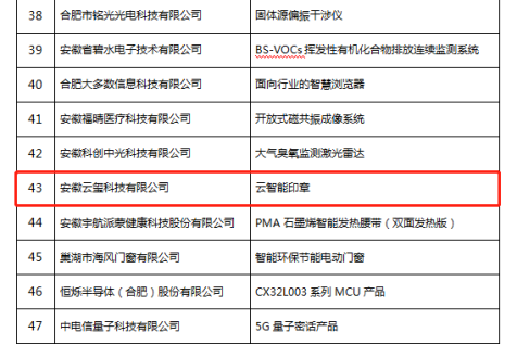 恭喜！云智能印章入選安徽省第九批信息消費創(chuàng)新產(chǎn)品名單！(圖3)